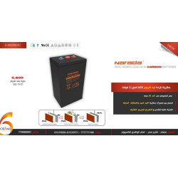 بطارية نارادا ليد كربون 2V-600REXC بطارية نارادا ليد كربون 2V-600REXC