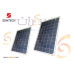 لوح شمسي Suntech بولي كريستال بقدرة 250 وات