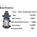 مضخة غسيل سيارات متنقلة XTL-3210 بجهد 12V/24V وقدرة 100W مضخة غسيل سيارات متنقلة XTL-3210 بجهد 12V/24V وقدرة 100W
