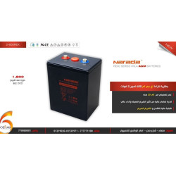  بطارية نارادا ليد كربون 2V-600REX 